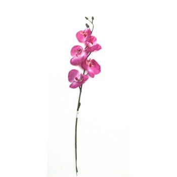 Bulk Buy Orchid Cerise (6 in Hessian Bag) 