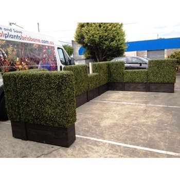 Boxwood Hedge Hire Package - Rustic x9