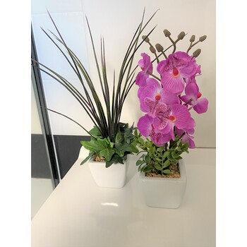 A Set of 2 Cerise Orchids and Grasses 