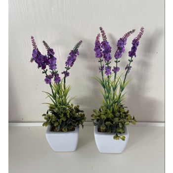 A Set of 2 Lavender in containers